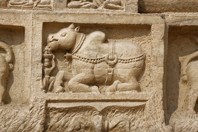 Gwalior-Statues jaïnes-053